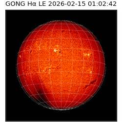 gong - 2026-02-15T01:02:42