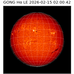 gong - 2026-02-15T02:00:42