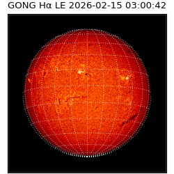 gong - 2026-02-15T03:00:42