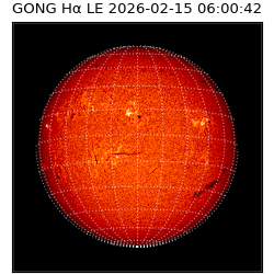 gong - 2026-02-15T06:00:42
