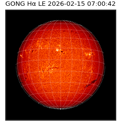gong - 2026-02-15T07:00:42