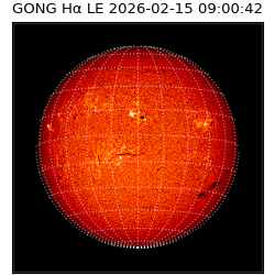 gong - 2026-02-15T09:00:42