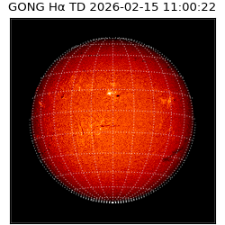 gong - 2026-02-15T11:00:22