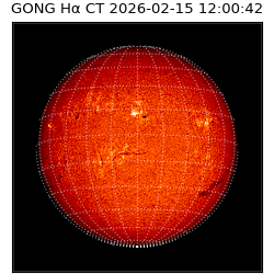 gong - 2026-02-15T12:00:42