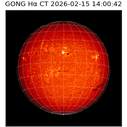 gong - 2026-02-15T14:00:42