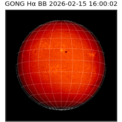 gong - 2026-02-15T16:00:02