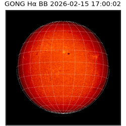 gong - 2026-02-15T17:00:02