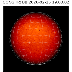 gong - 2026-02-15T19:03:02