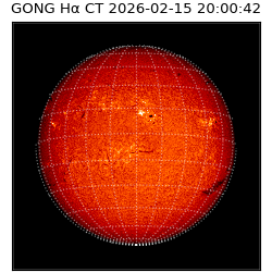 gong - 2026-02-15T20:00:42