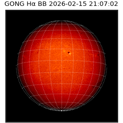 gong - 2026-02-15T21:07:02