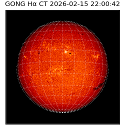 gong - 2026-02-15T22:00:42