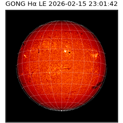 gong - 2026-02-15T23:01:42