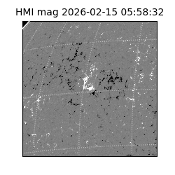 shmi - 2026-02-15T05:58:32