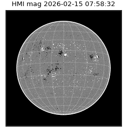 shmi - 2026-02-15T07:58:32