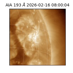 saia - 2026-02-16T08:00:04.843000