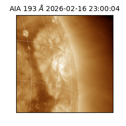 saia - 2026-02-16T23:00:04.843000