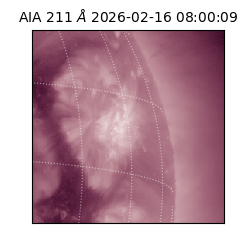 saia - 2026-02-16T08:00:09.623000