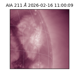 saia - 2026-02-16T11:00:09.626000