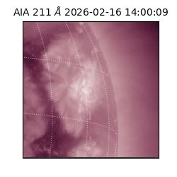 saia - 2026-02-16T14:00:09.626000