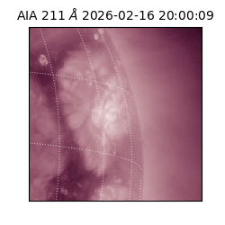 saia - 2026-02-16T20:00:09.626000