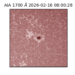 saia - 2026-02-16T08:00:28.721000