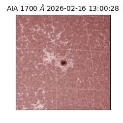 saia - 2026-02-16T13:00:28.737000