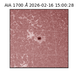 saia - 2026-02-16T15:00:28.720000