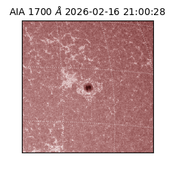 saia - 2026-02-16T21:00:28.720000