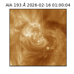 saia - 2026-02-16T01:00:04.843000