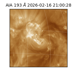 saia - 2026-02-16T21:00:28.844000