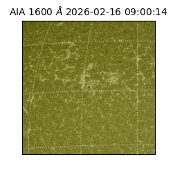 saia - 2026-02-16T09:00:14.125000