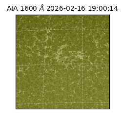 saia - 2026-02-16T19:00:14.131000