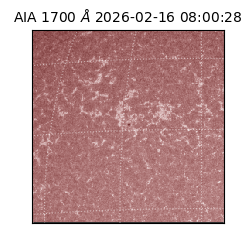 saia - 2026-02-16T08:00:28.721000