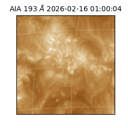 saia - 2026-02-16T01:00:04.843000