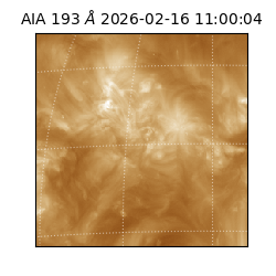 saia - 2026-02-16T11:00:04.846000