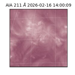 saia - 2026-02-16T14:00:09.626000