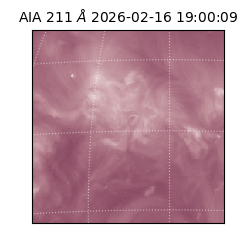 saia - 2026-02-16T19:00:09.626000