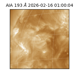 saia - 2026-02-16T01:00:04.843000