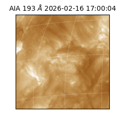 saia - 2026-02-16T17:00:04.843000