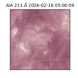 saia - 2026-02-16T05:00:09.627000