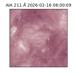 saia - 2026-02-16T06:00:09.633000