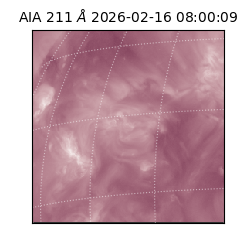 saia - 2026-02-16T08:00:09.623000