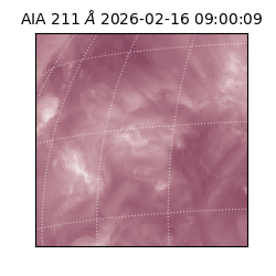 saia - 2026-02-16T09:00:09.626000