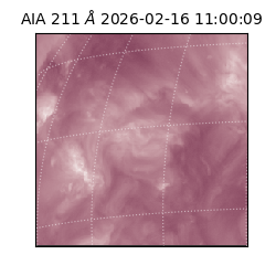 saia - 2026-02-16T11:00:09.626000