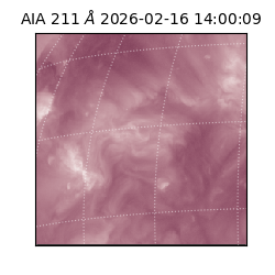 saia - 2026-02-16T14:00:09.626000