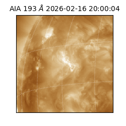 saia - 2026-02-16T20:00:04.843000