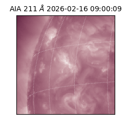 saia - 2026-02-16T09:00:09.626000