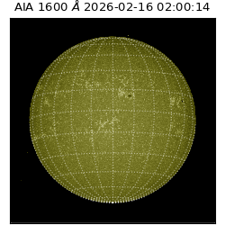 saia - 2026-02-16T02:00:14.125000