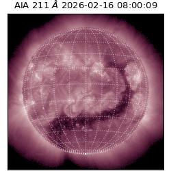 saia - 2026-02-16T08:00:09.623000