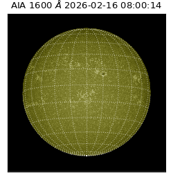 saia - 2026-02-16T08:00:14.126000